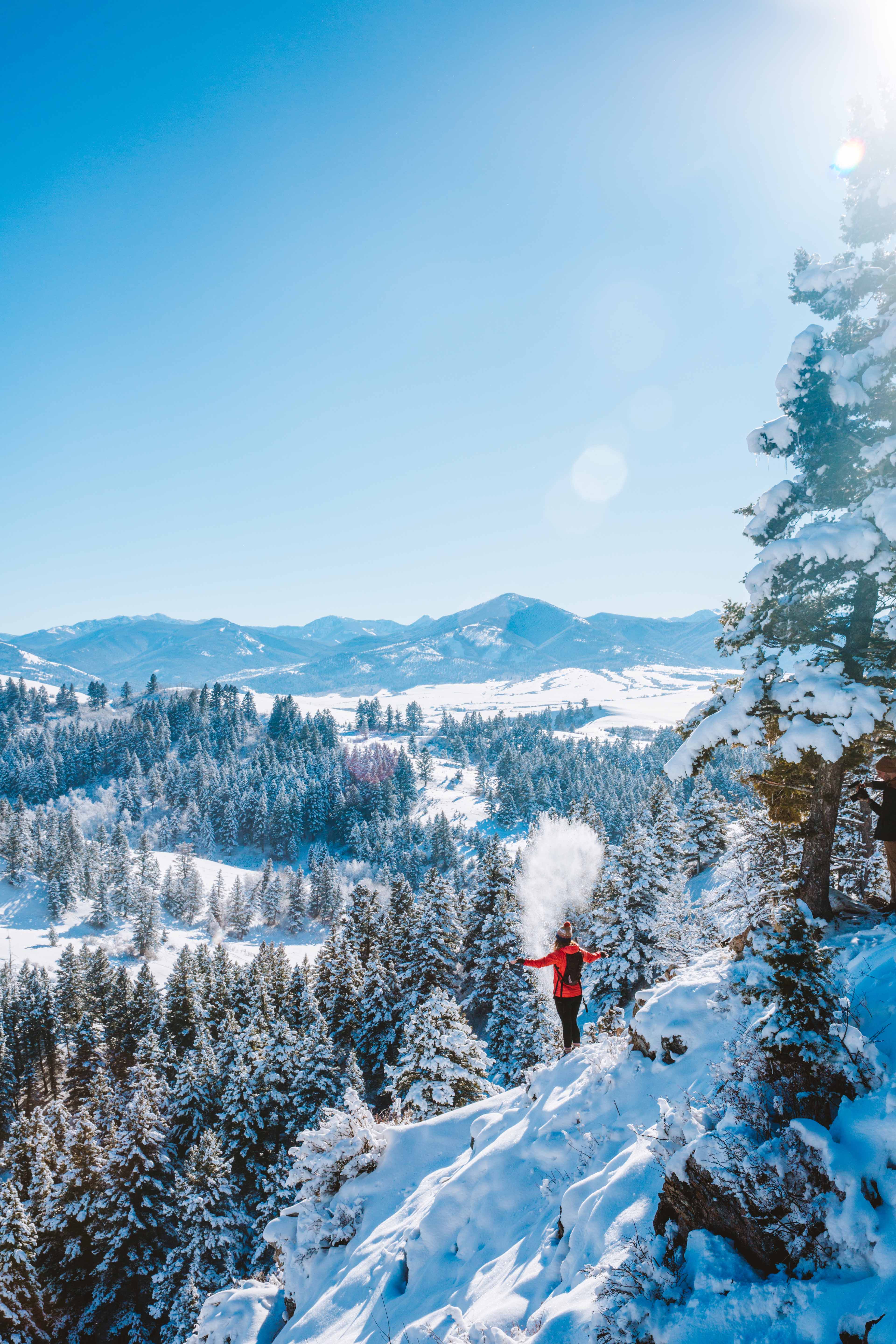 winter-drinking-horse_andy-austin