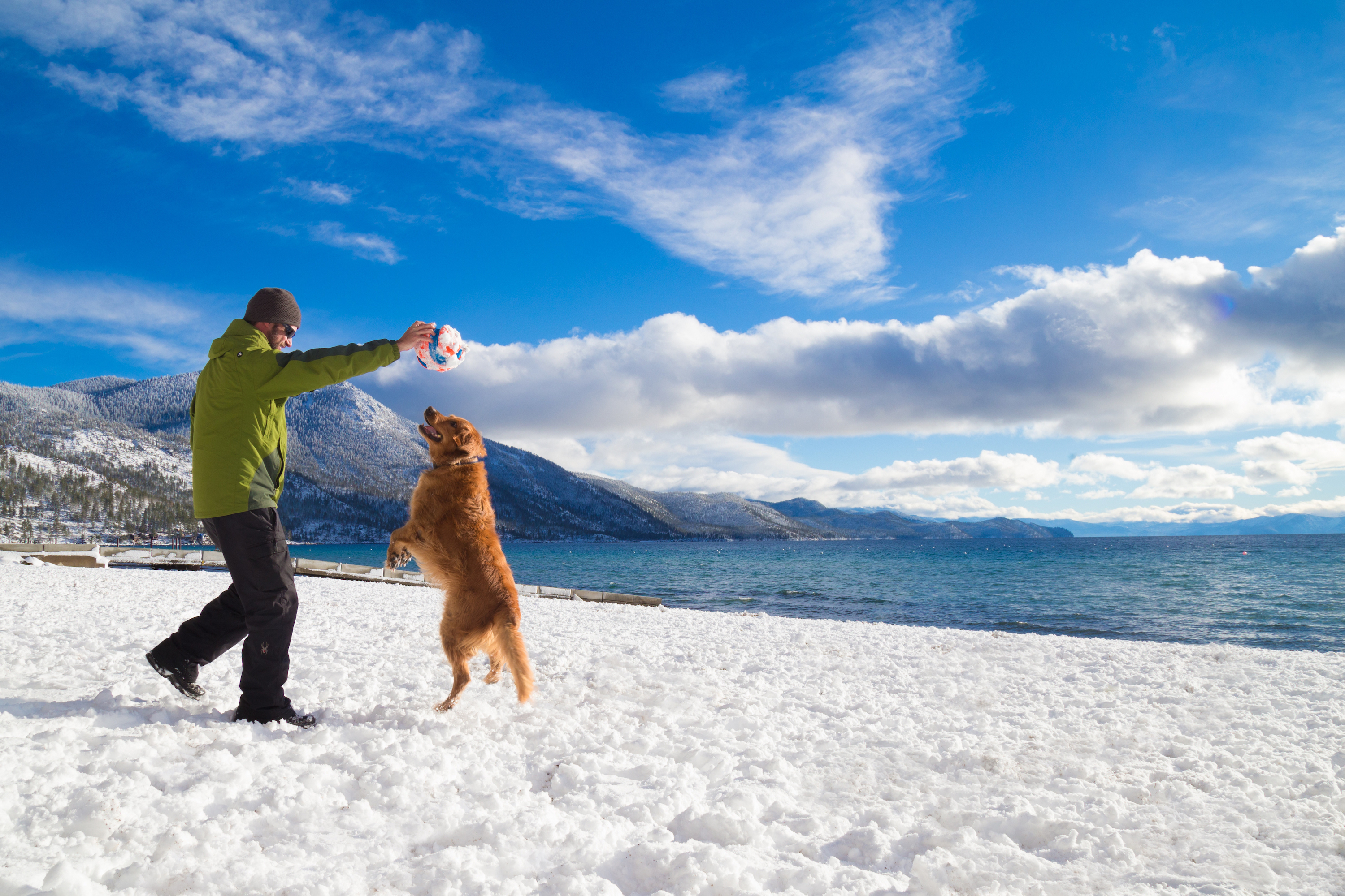 dog-friendly-activities-and-beaches