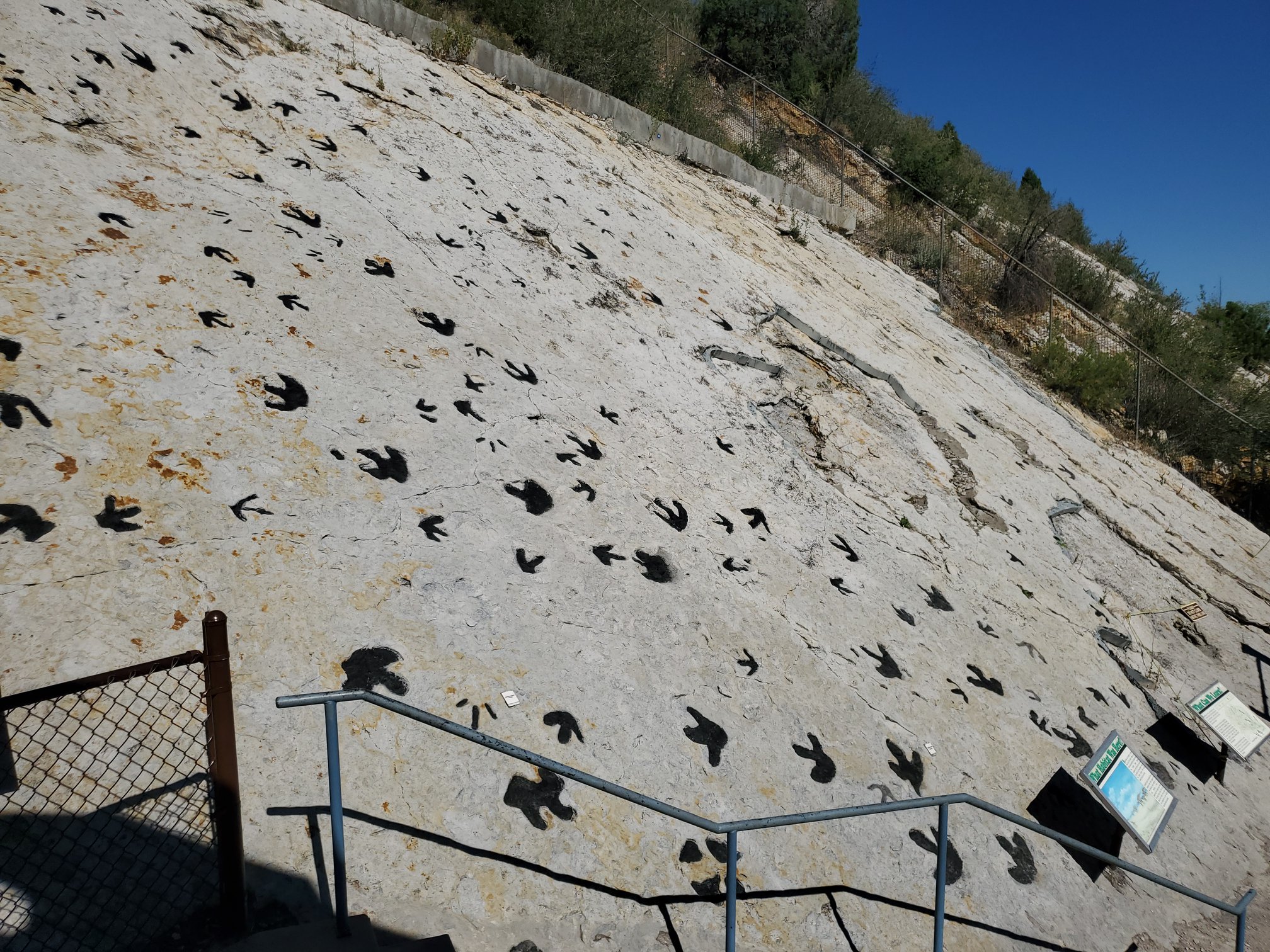 the-main-tracksite-at-dinosaur-ridge-has-been-ranked-by-paleontologists-as-1-in-america
