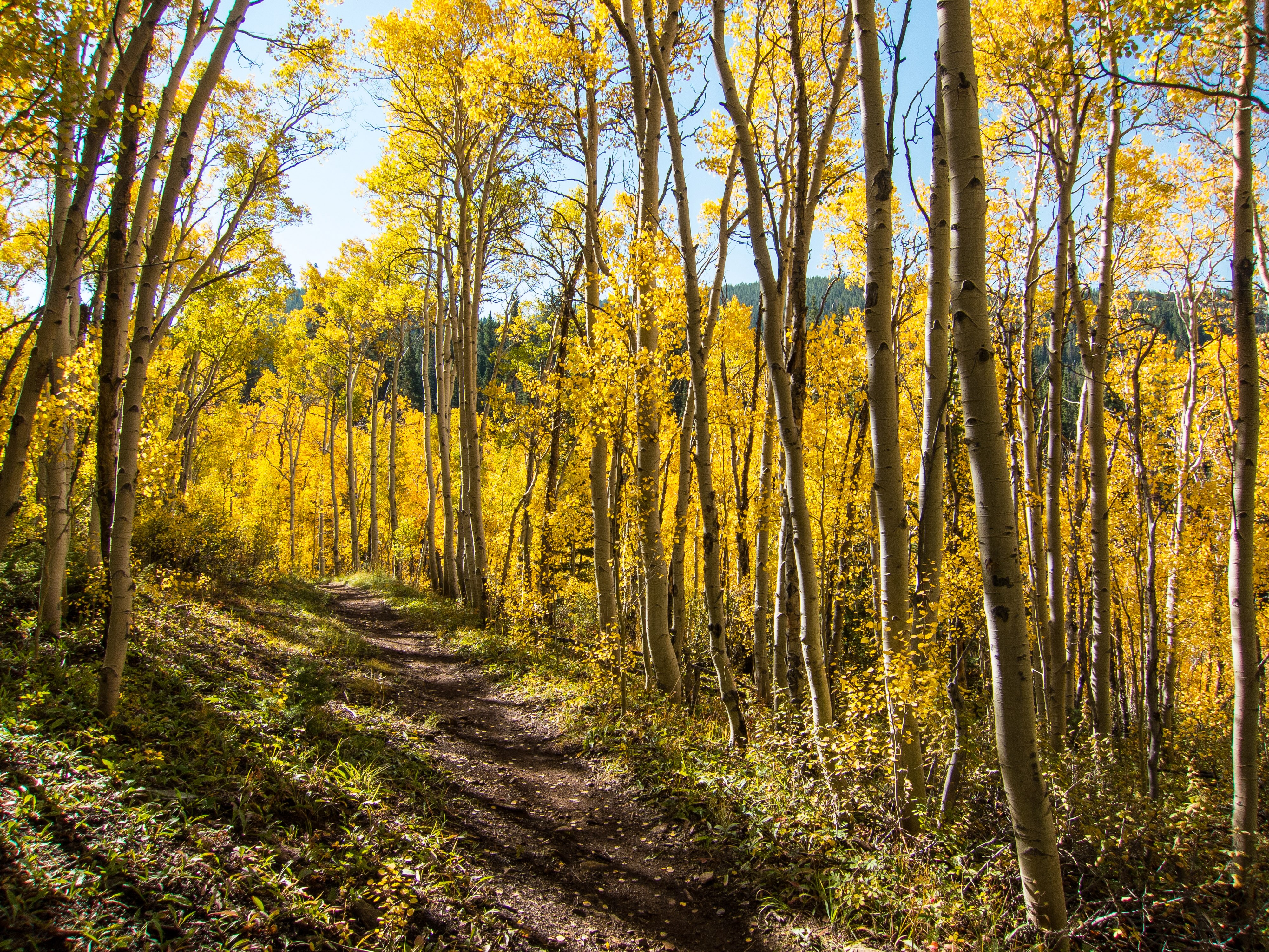 hiking-in-the-fall