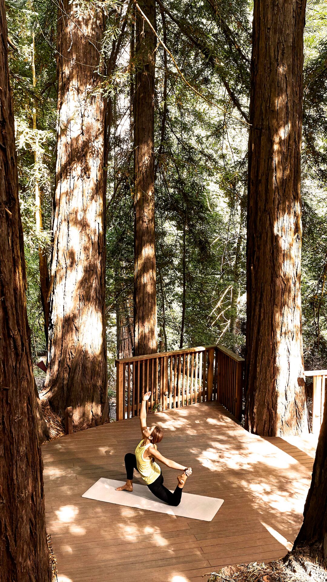 tree-yoga-deck