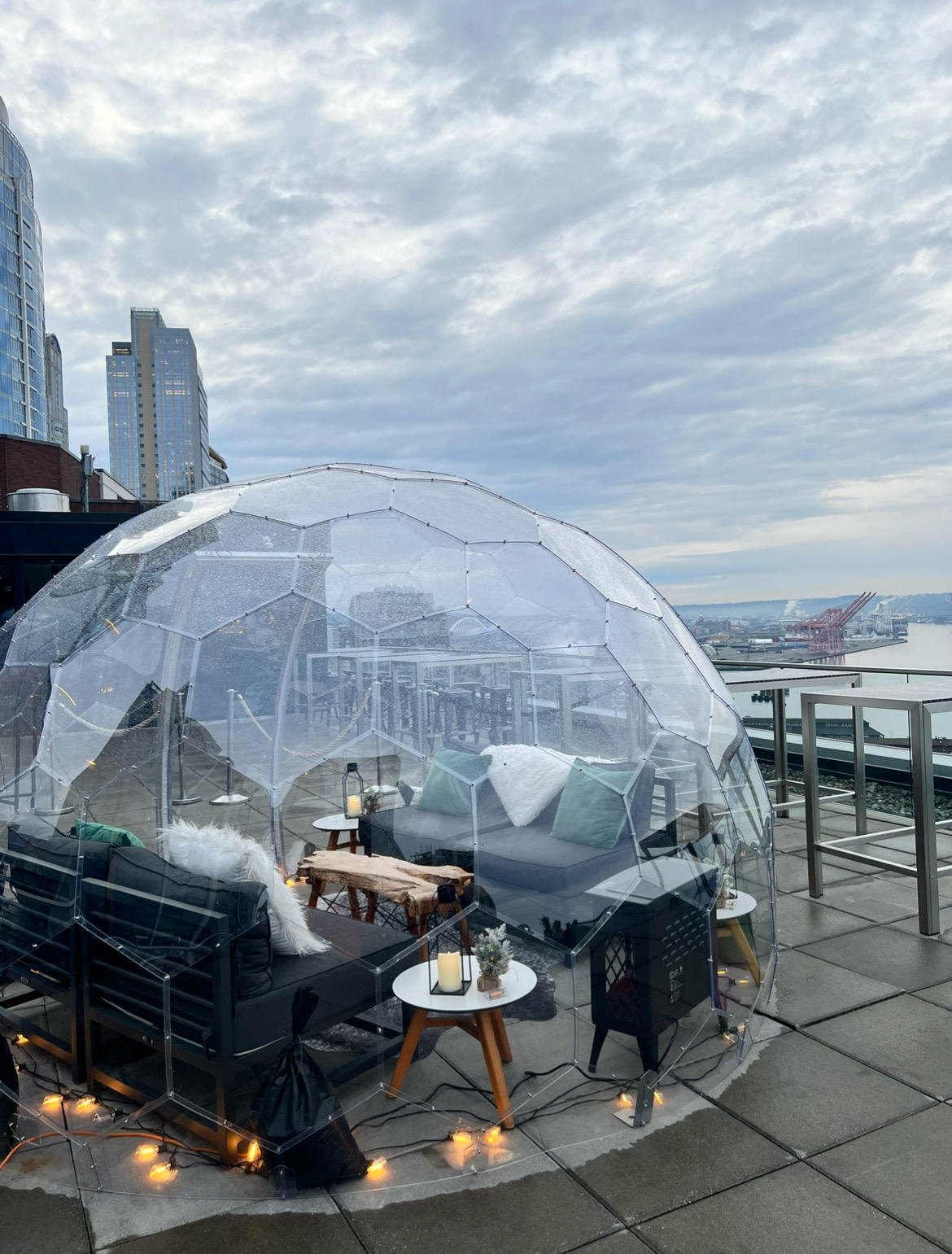 the-rain-drop-at-the-nest