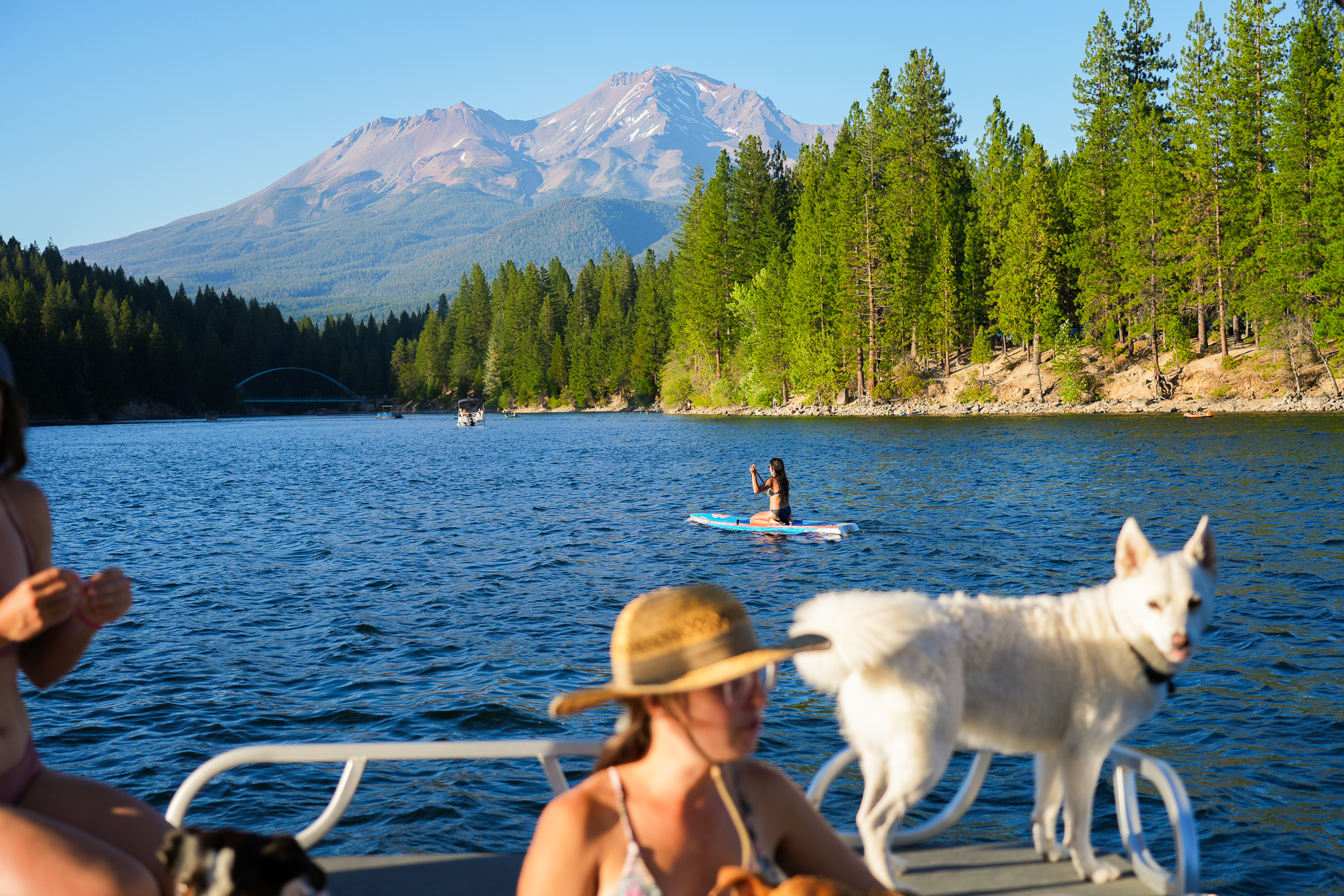 grab-a-friend-furry-ones-too-and-head-to-lake-siskiyou