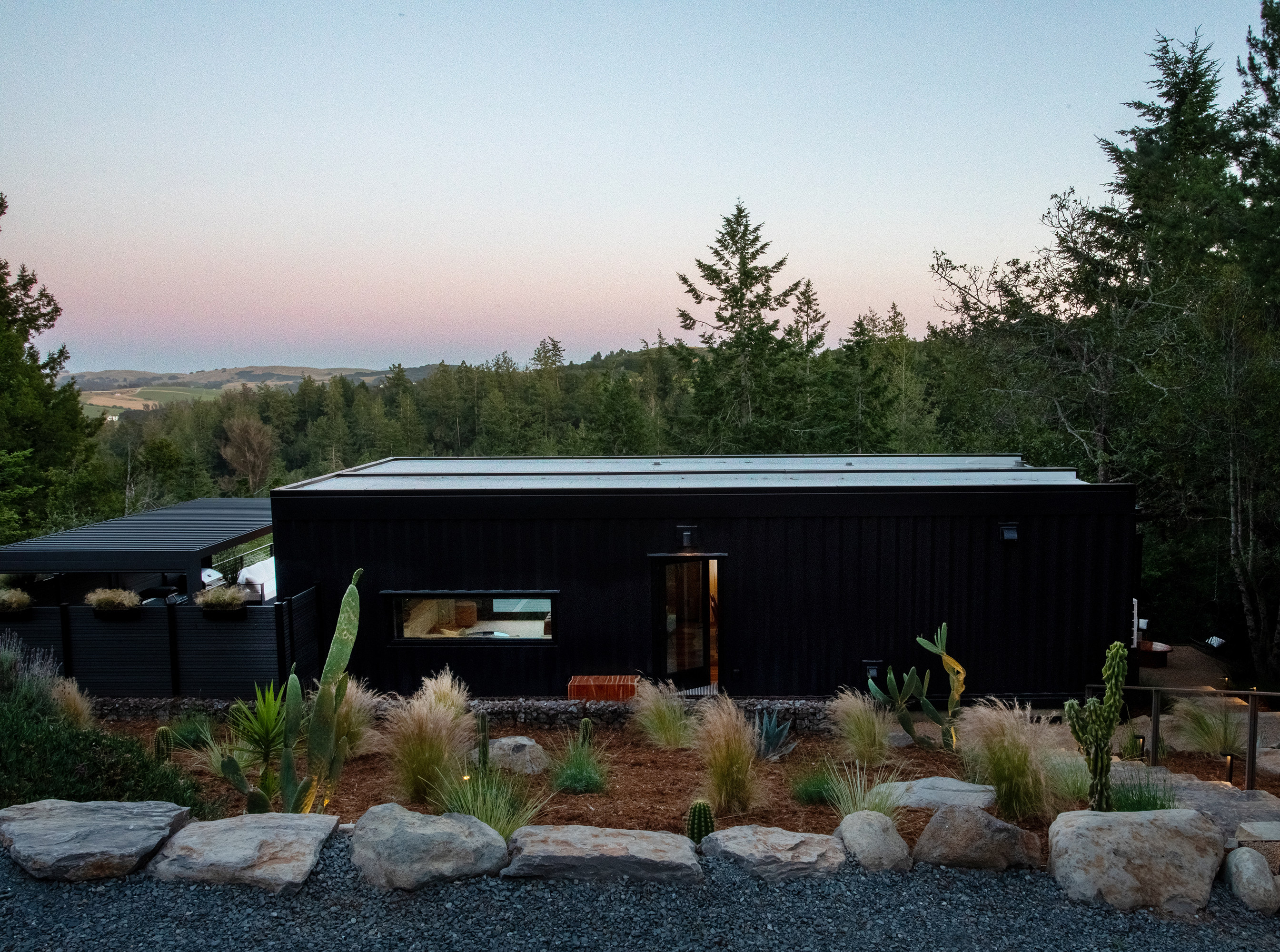 exterior-cacti-garden