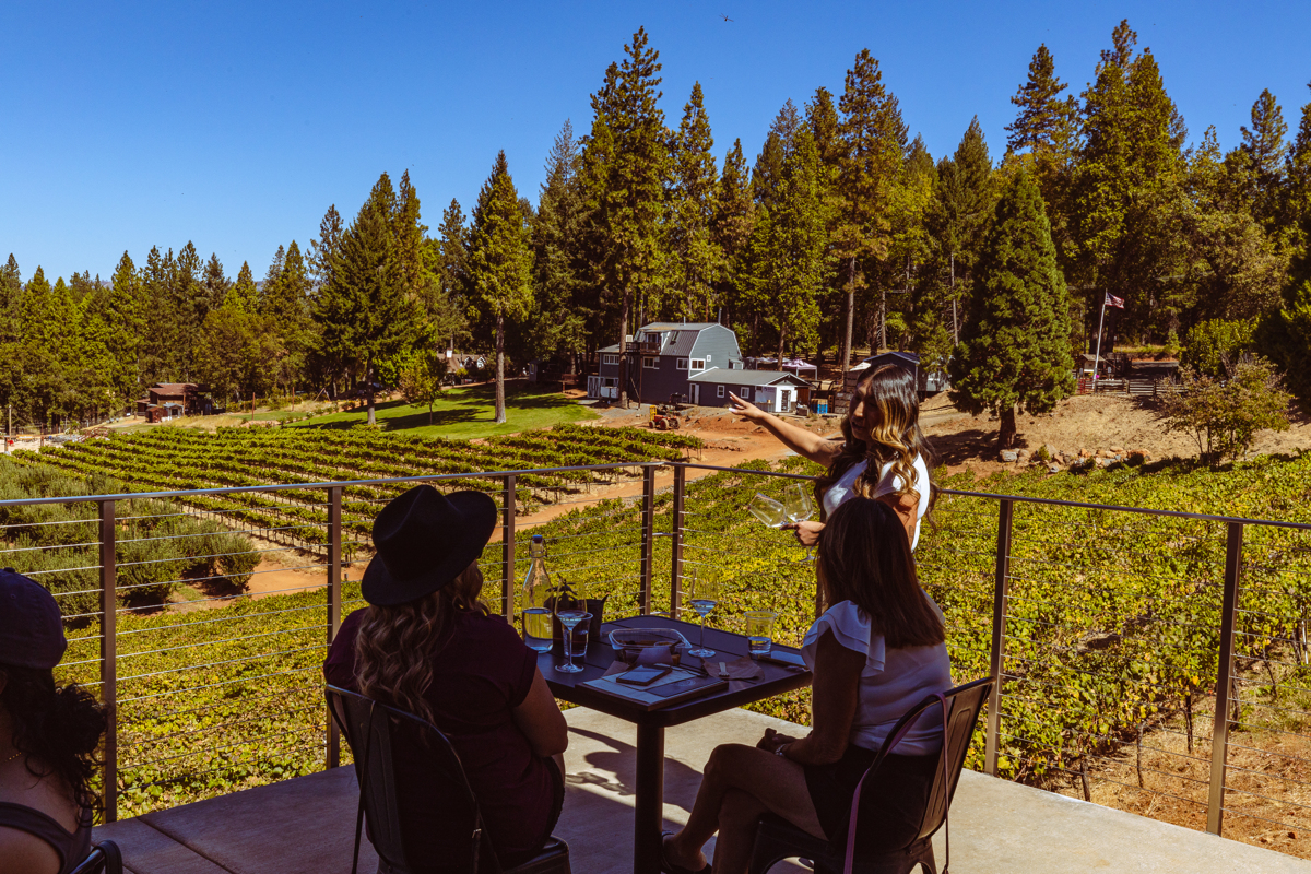 panoramic-orchard-and-vineyard-vistas-at-edio-vineyards-tasting-room