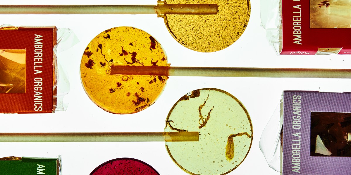 Our Kind of Halloween Candy: Lollipops That Grow All Sorts of Plants