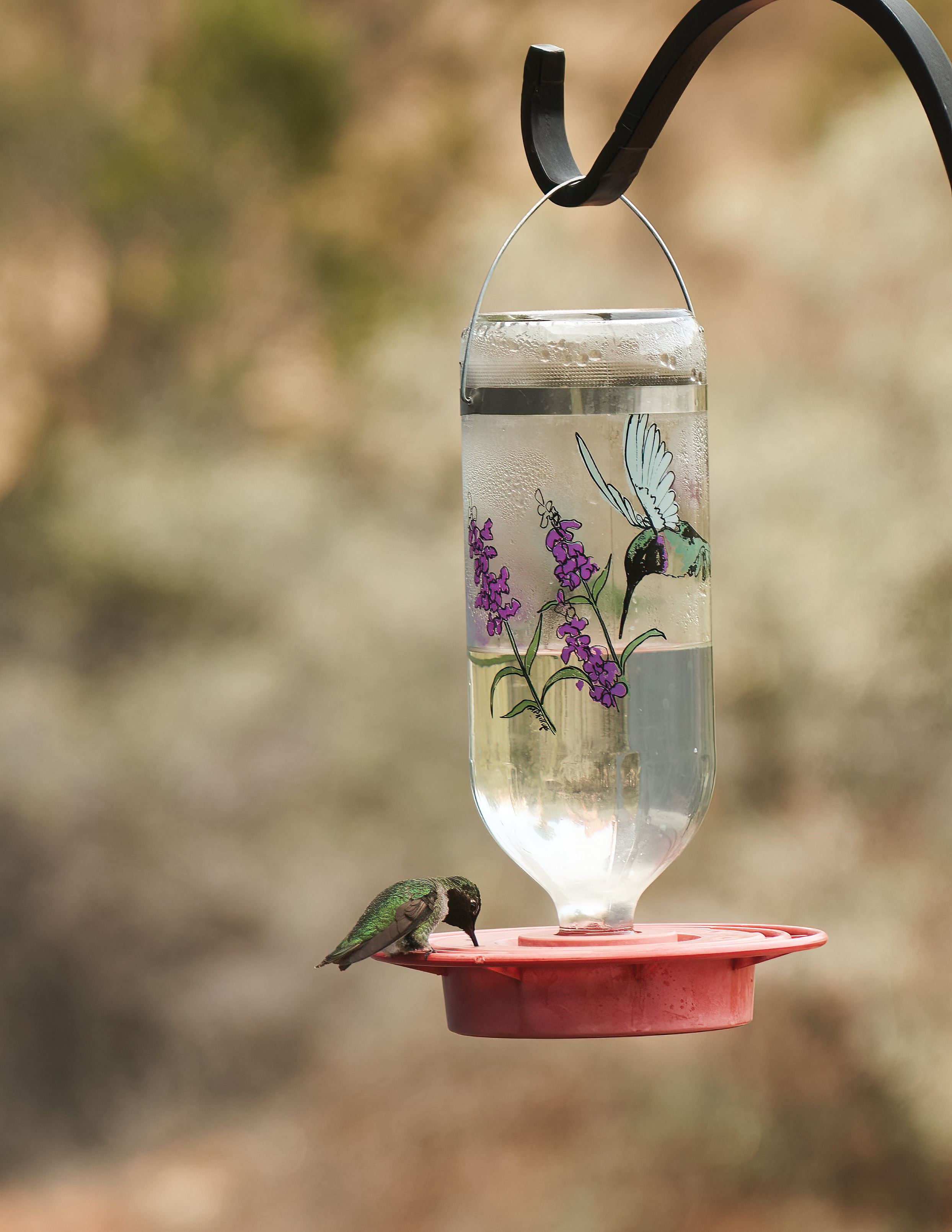 Anatomy of a Monsoon Garden Hummingbird Feeder