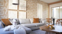 Anita Lang Living Room