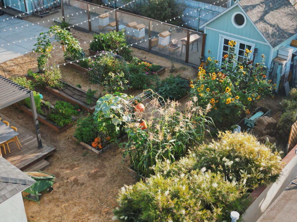 Apiary Garden Drone Shot