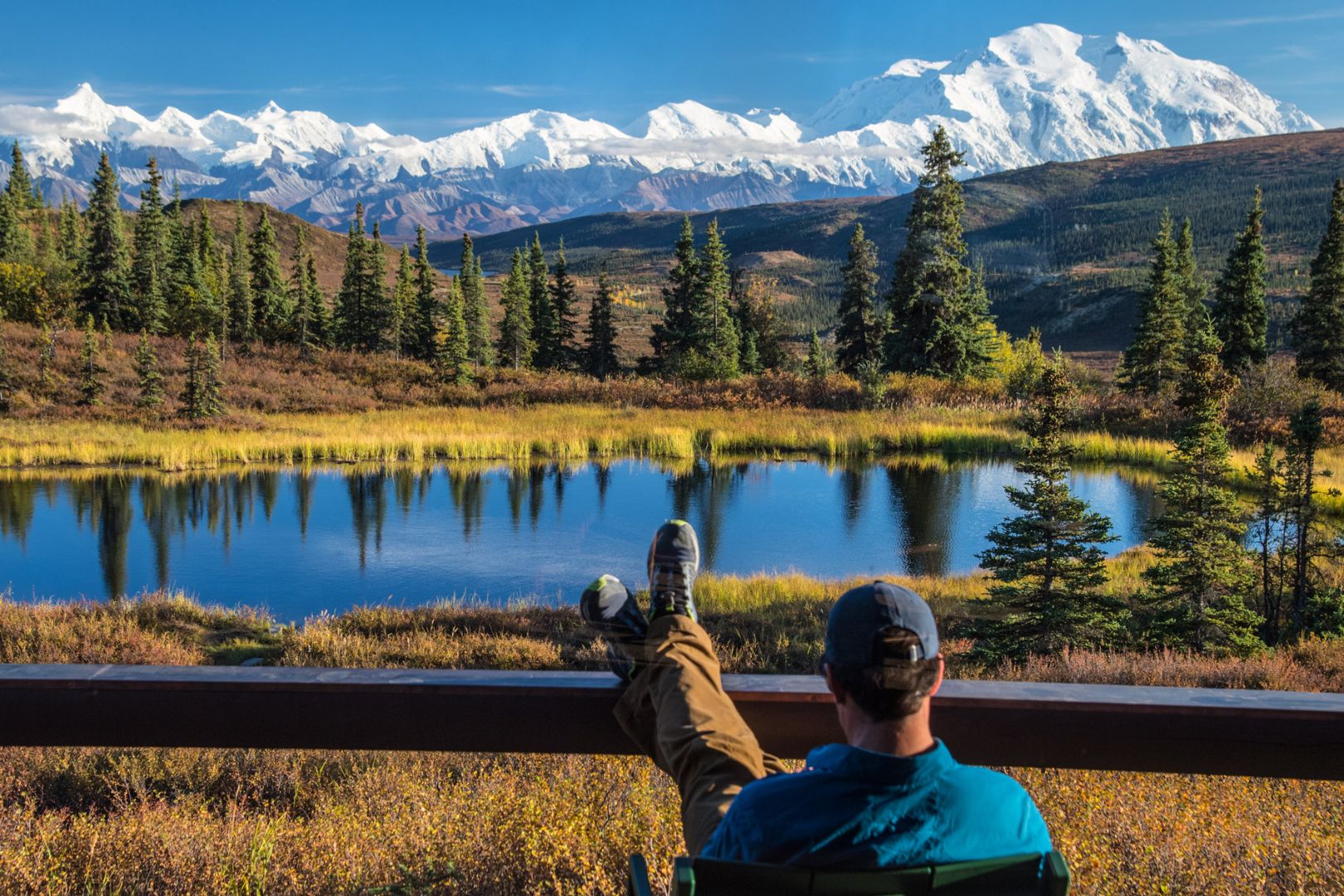 view-from-camp-denalis-lodge