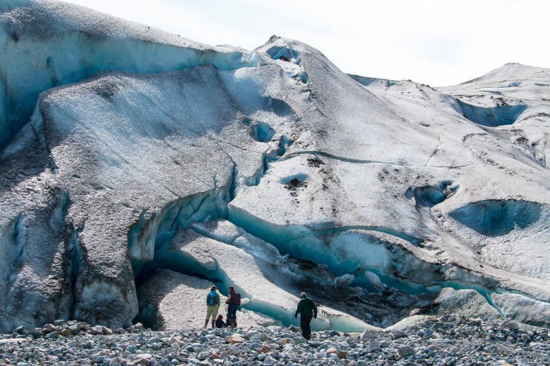 Sea Wolf Glacier Bay Adventure Cruise – AdventureSmith Explorations
