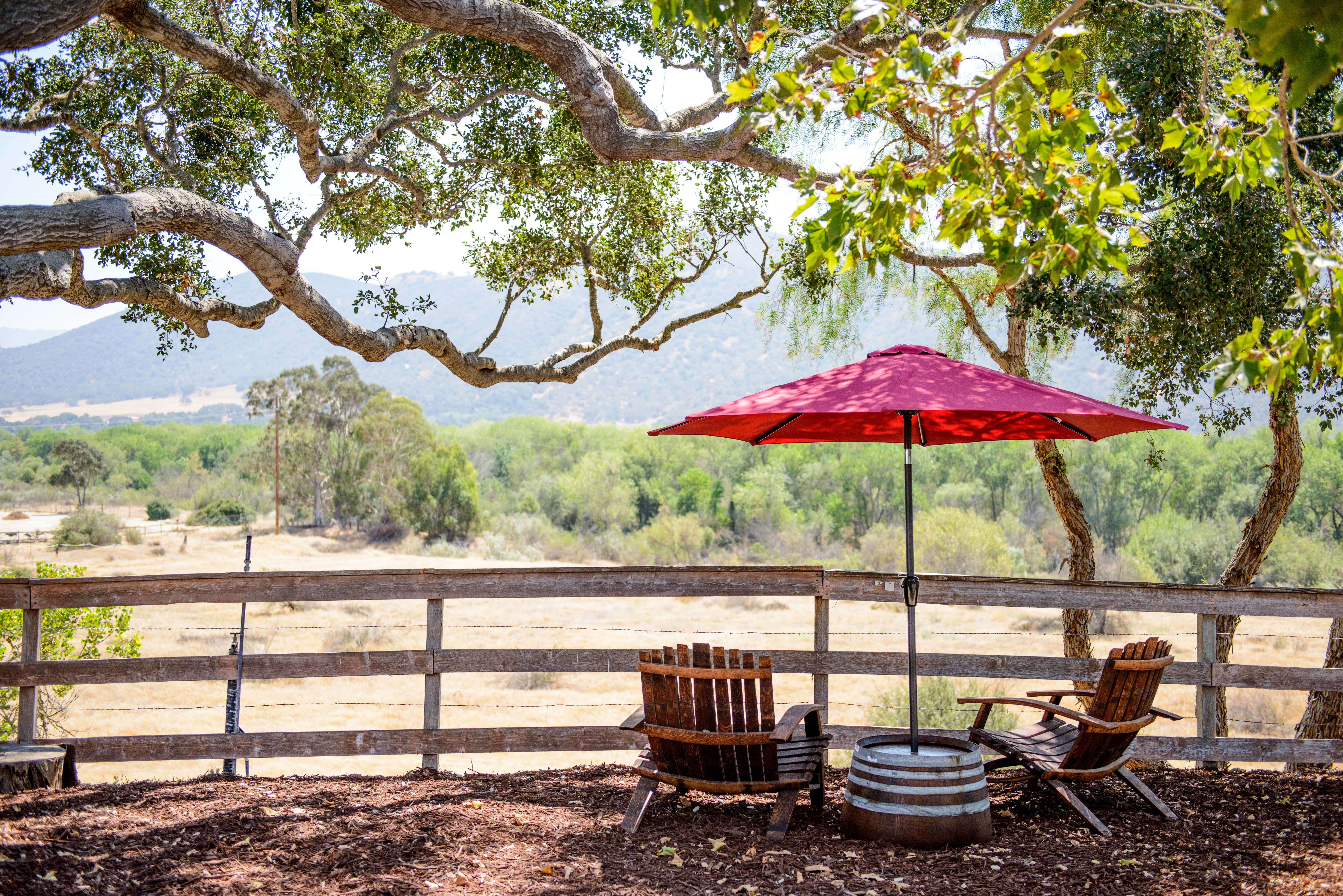 hitching-post-wines-with-a-view