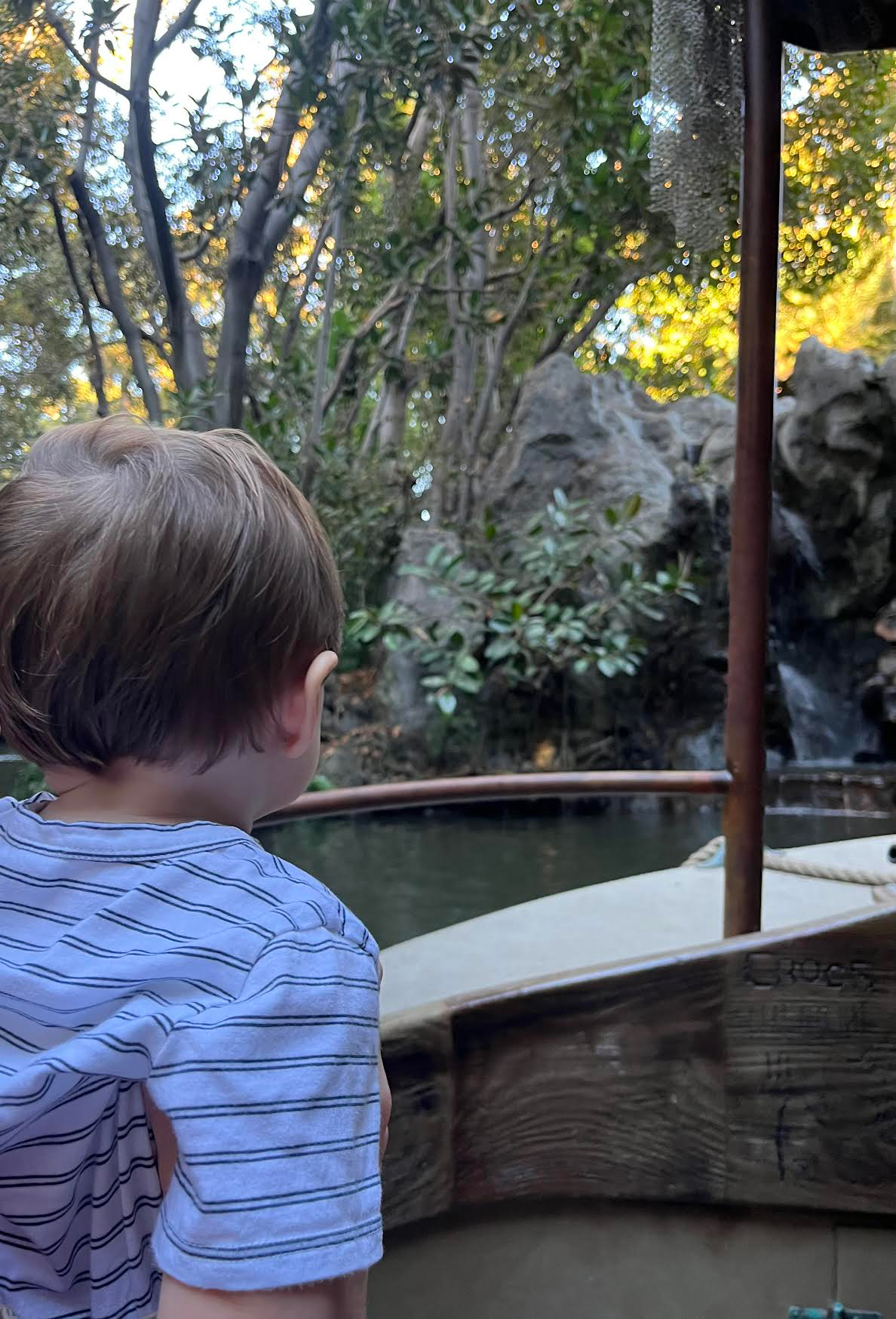 Baby on Jungle Cruise