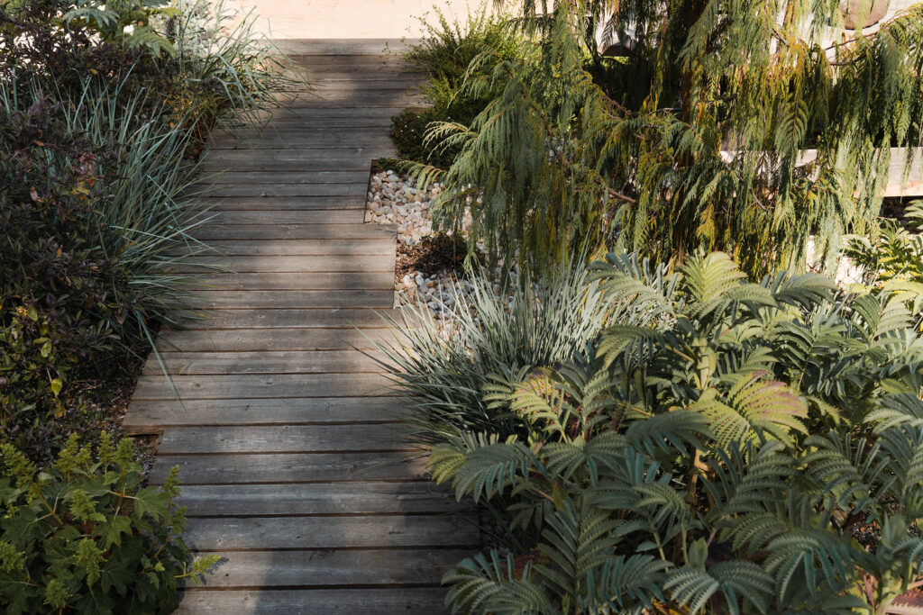 Backyard Pathway by ORCA