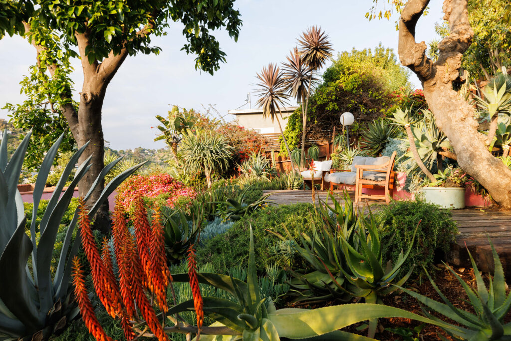 Backyard Seating in Pink Mount Washington House