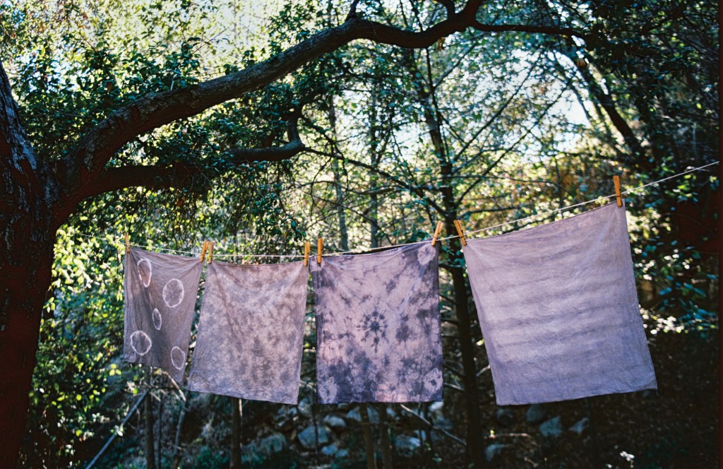 How to Make Colorful Dyes from Your Own Garden