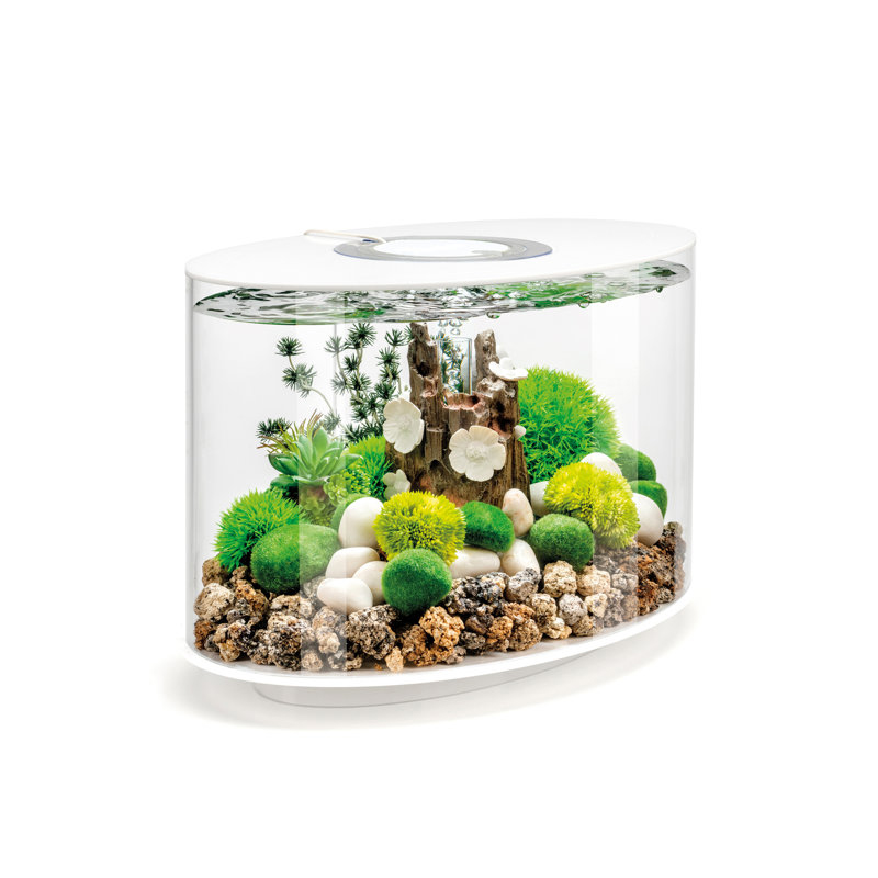 Biorb 4 Gallon Octagon Aquarium Tank