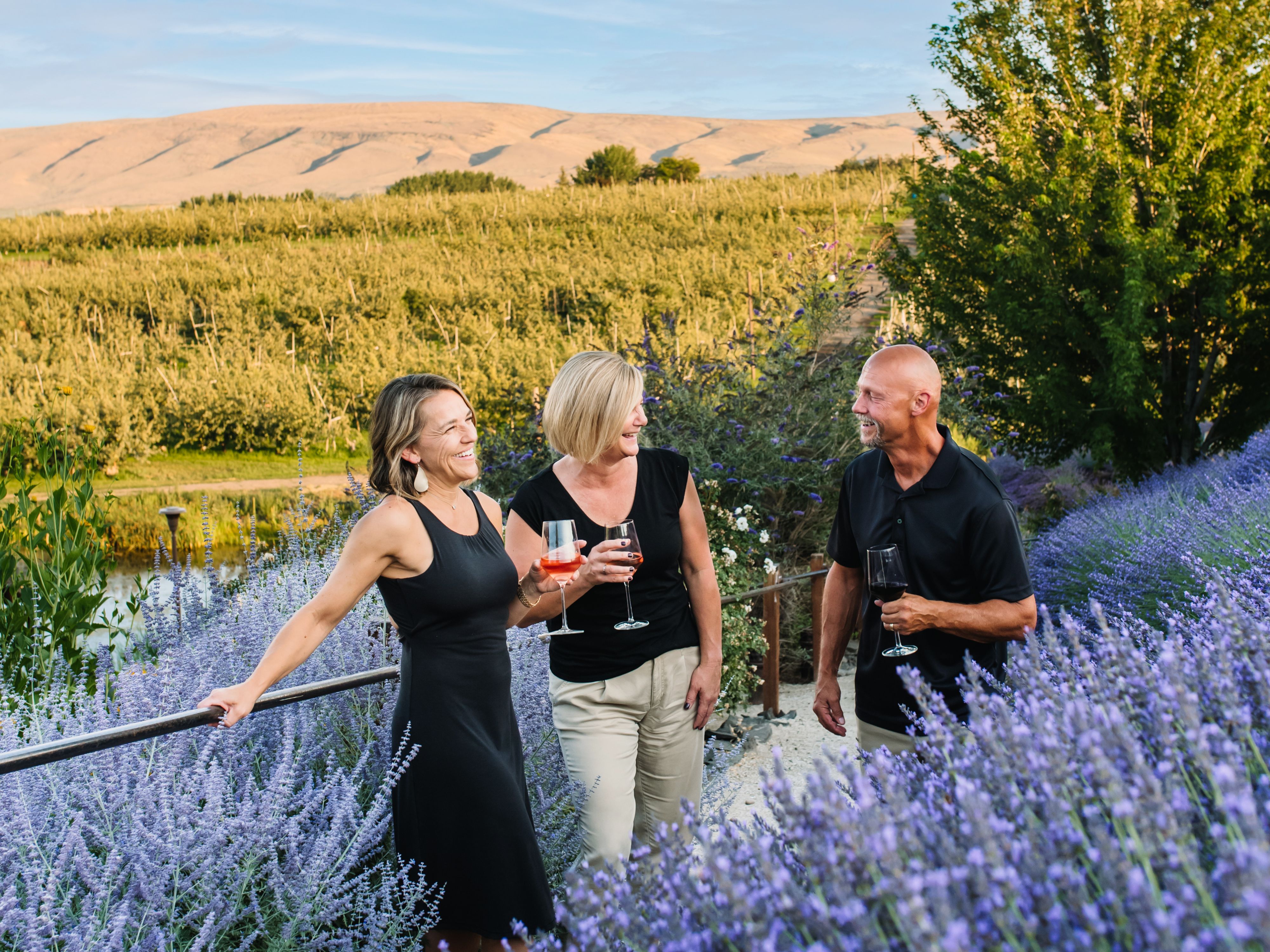 gilbert-cellars-evening