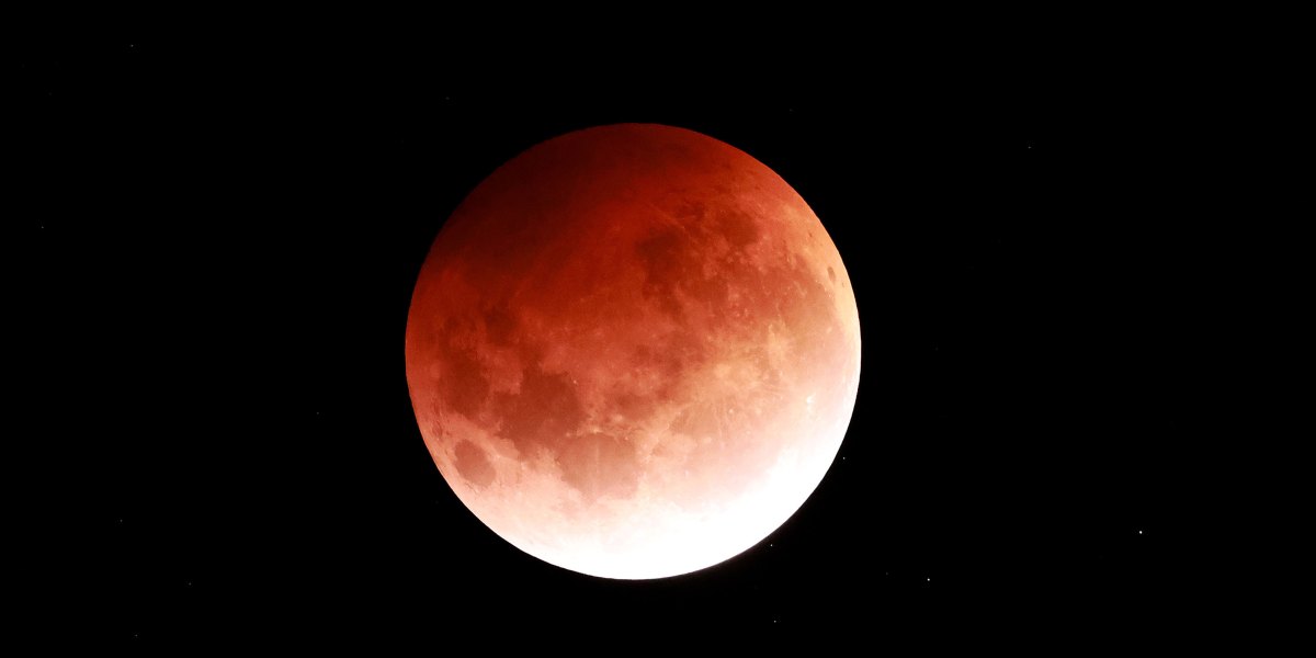 Blood Moon Eclipse Phil Walter