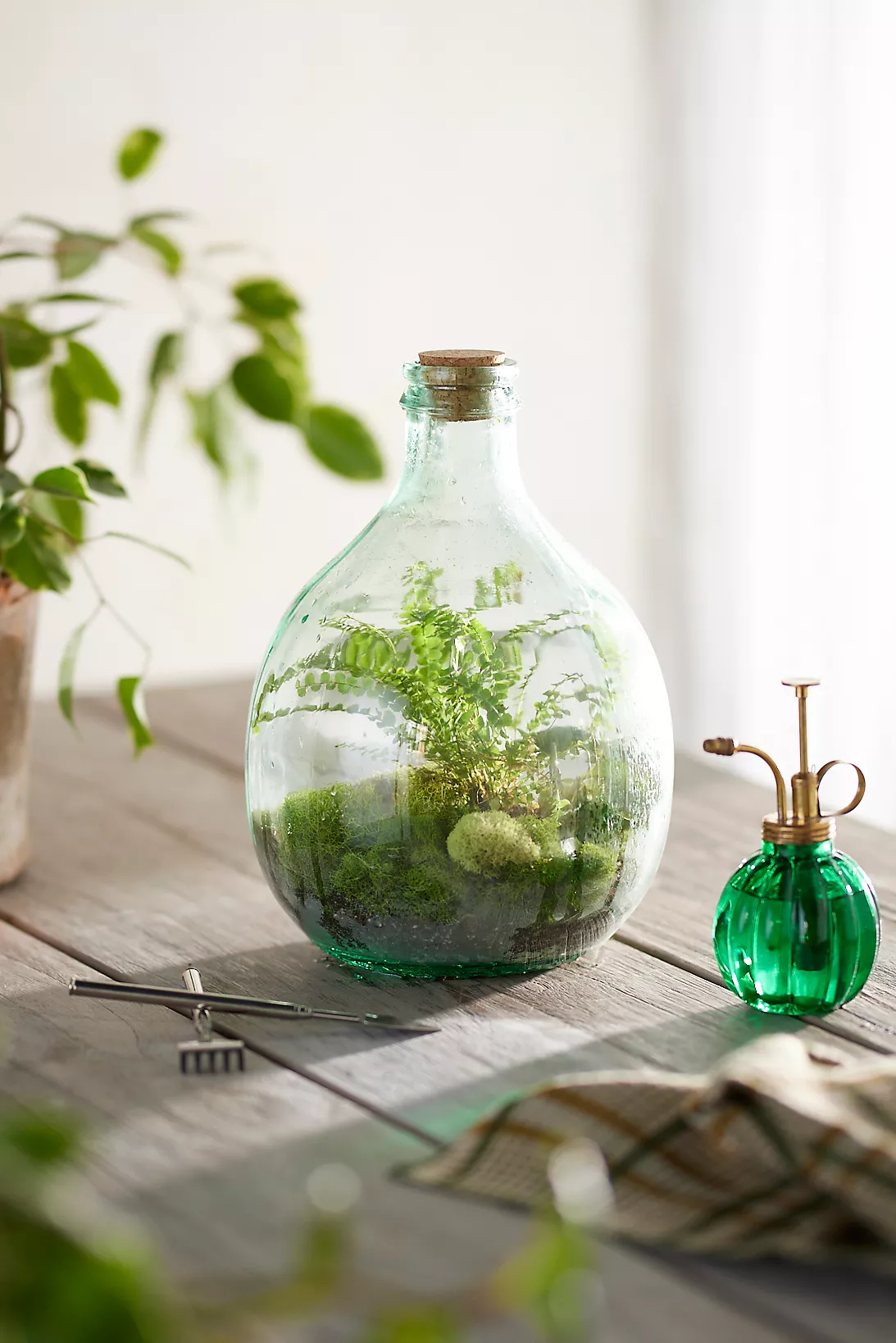 Bottle Terrarium