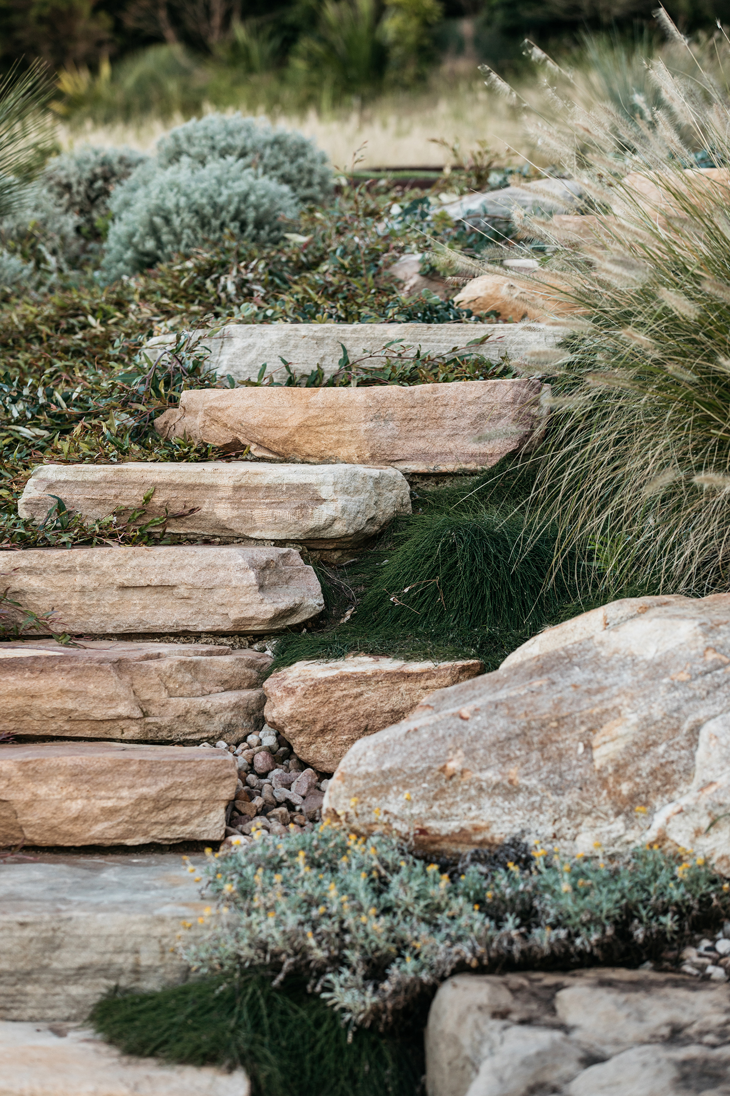 Boulder and Rocks Fig Landscapes