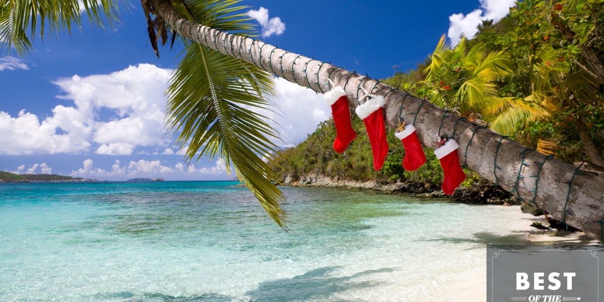 Palm Tree with Christmas Stockings
