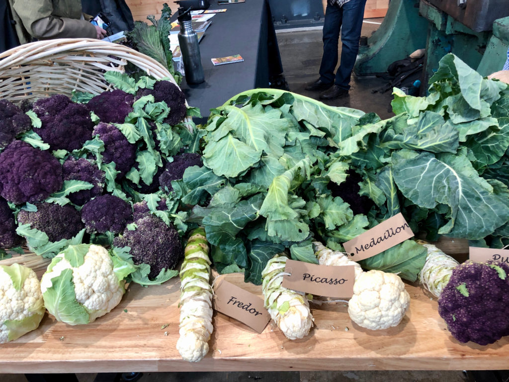 Springing into Action