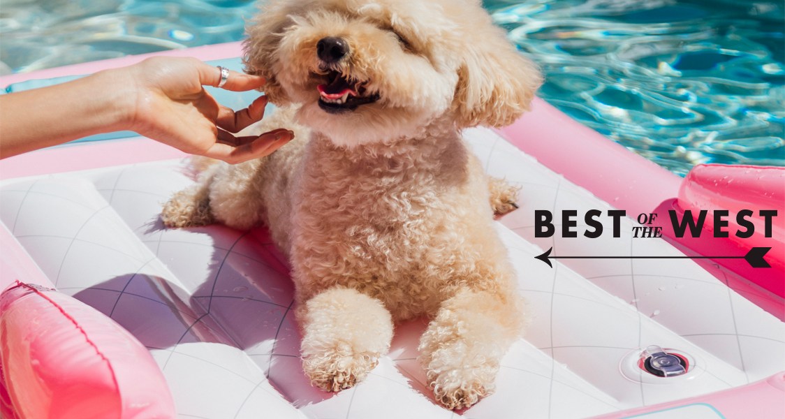 Bark Shop Dog on Float