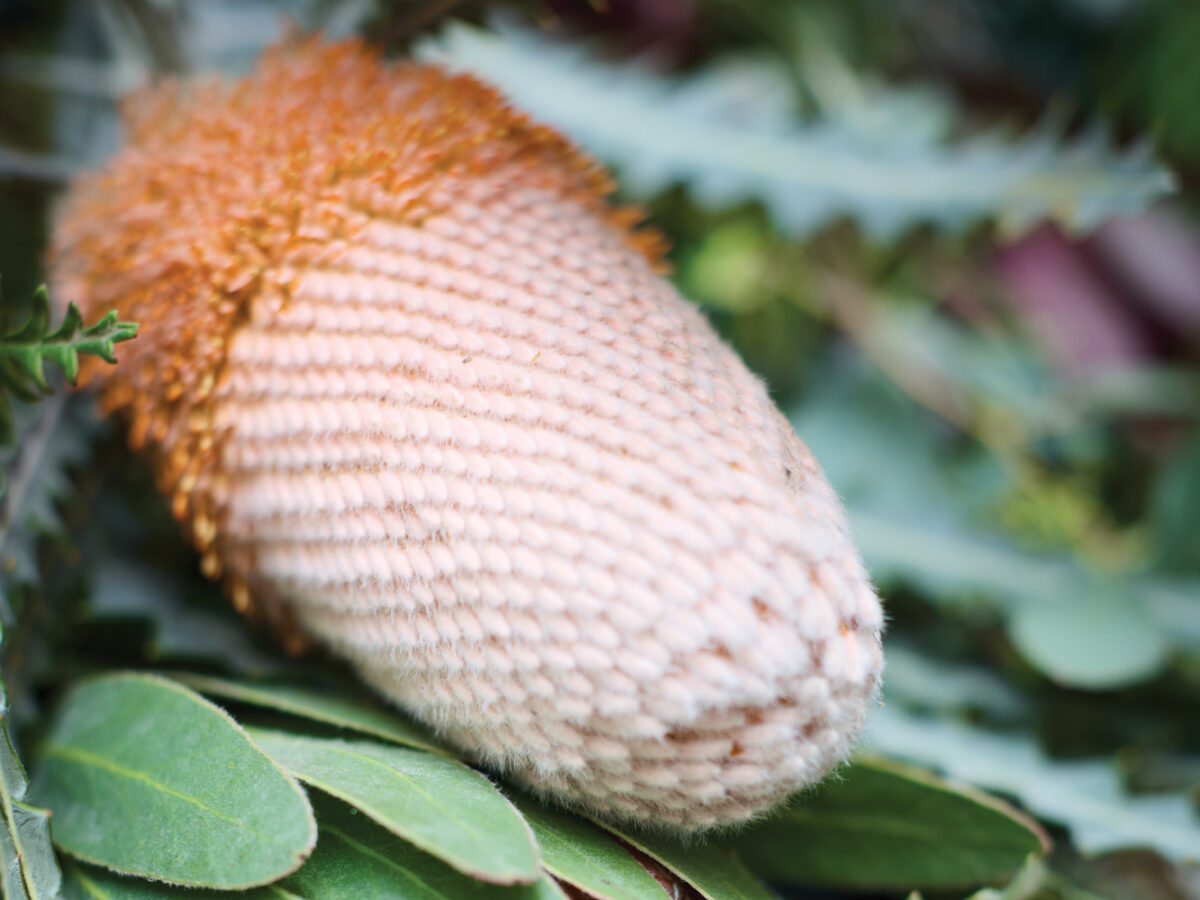 Thomas Diehl Garland Making Detail