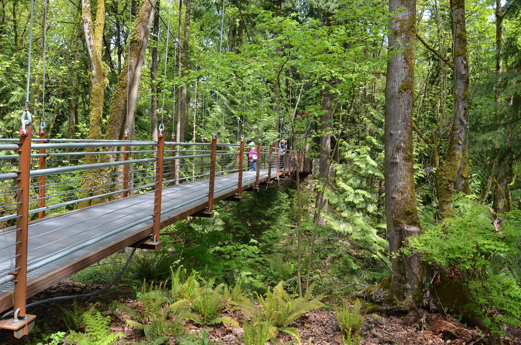 ravine-bridge