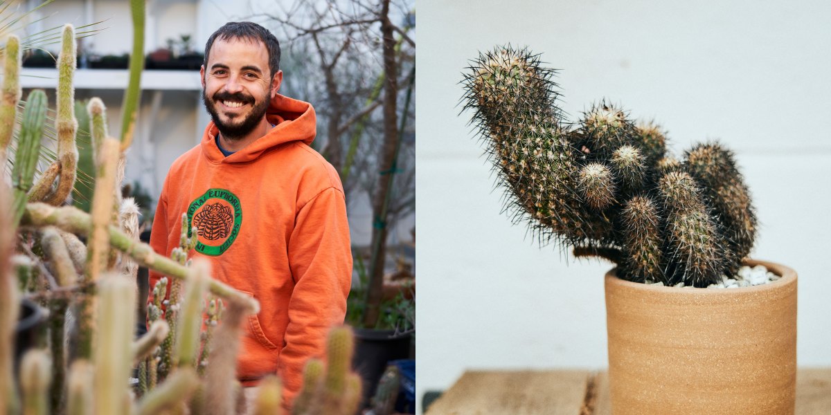 cactus store los angeles