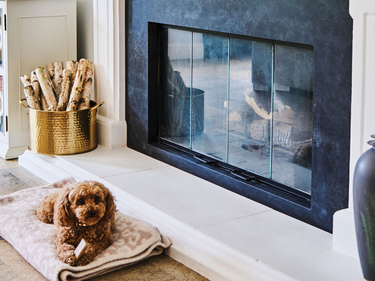 Dog by Hearth