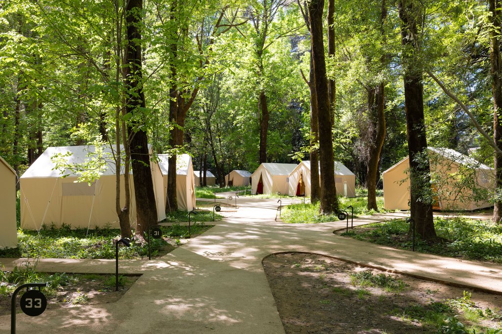 8 Summer Camp–Inspired Getaways for Families Who Love Nature