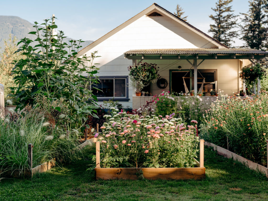 Carli Spielman's Garden