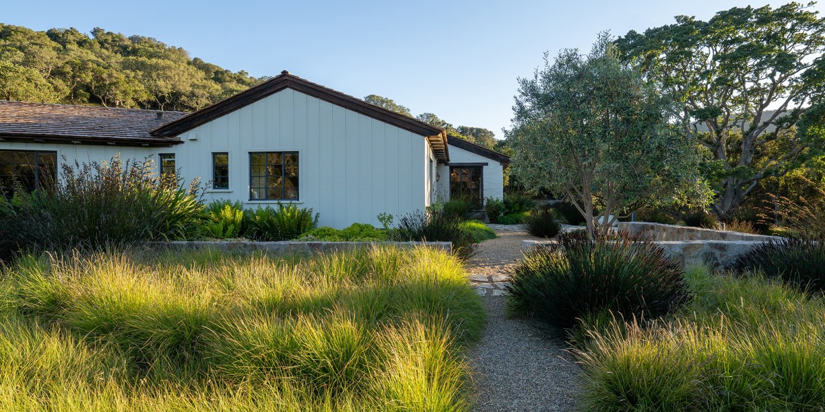 Carmel Ranch Grasses