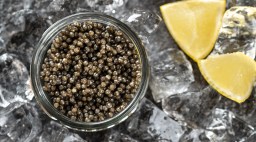 Caviar on Ice
