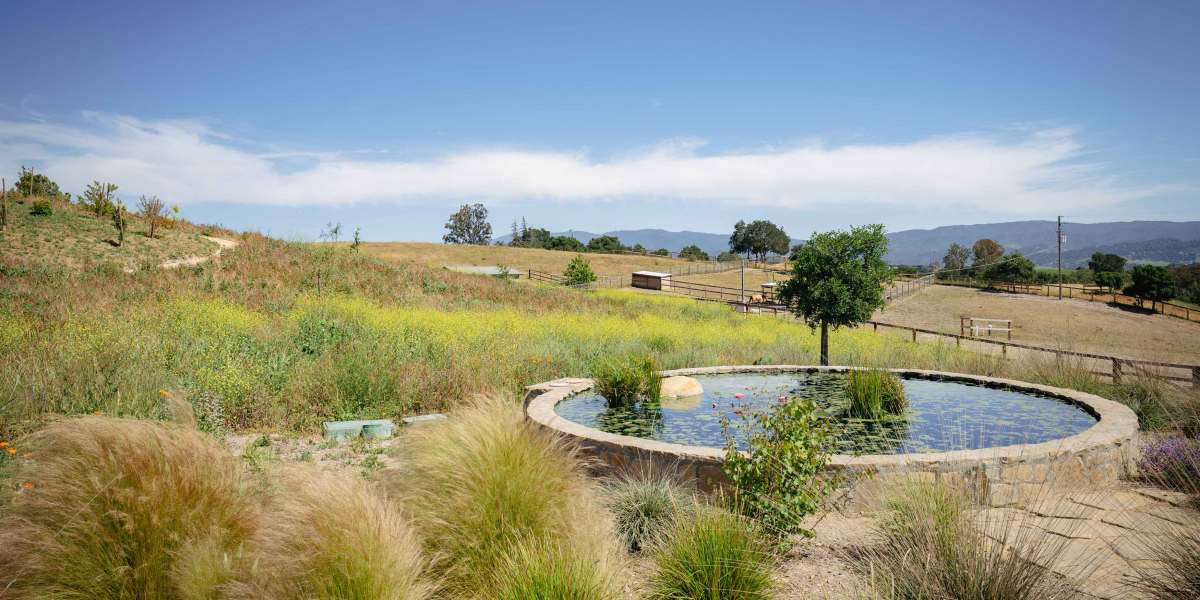 Certified Wildlife Habitat Yard