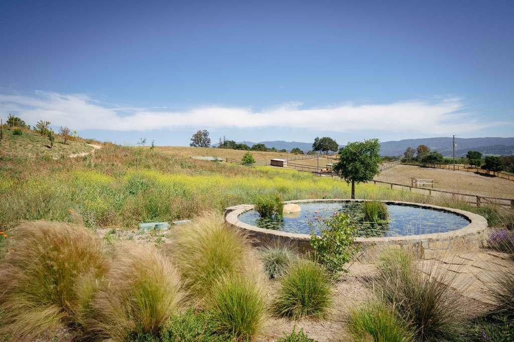 Creating a Certified Wildlife Habitat Is Easier Than You Think