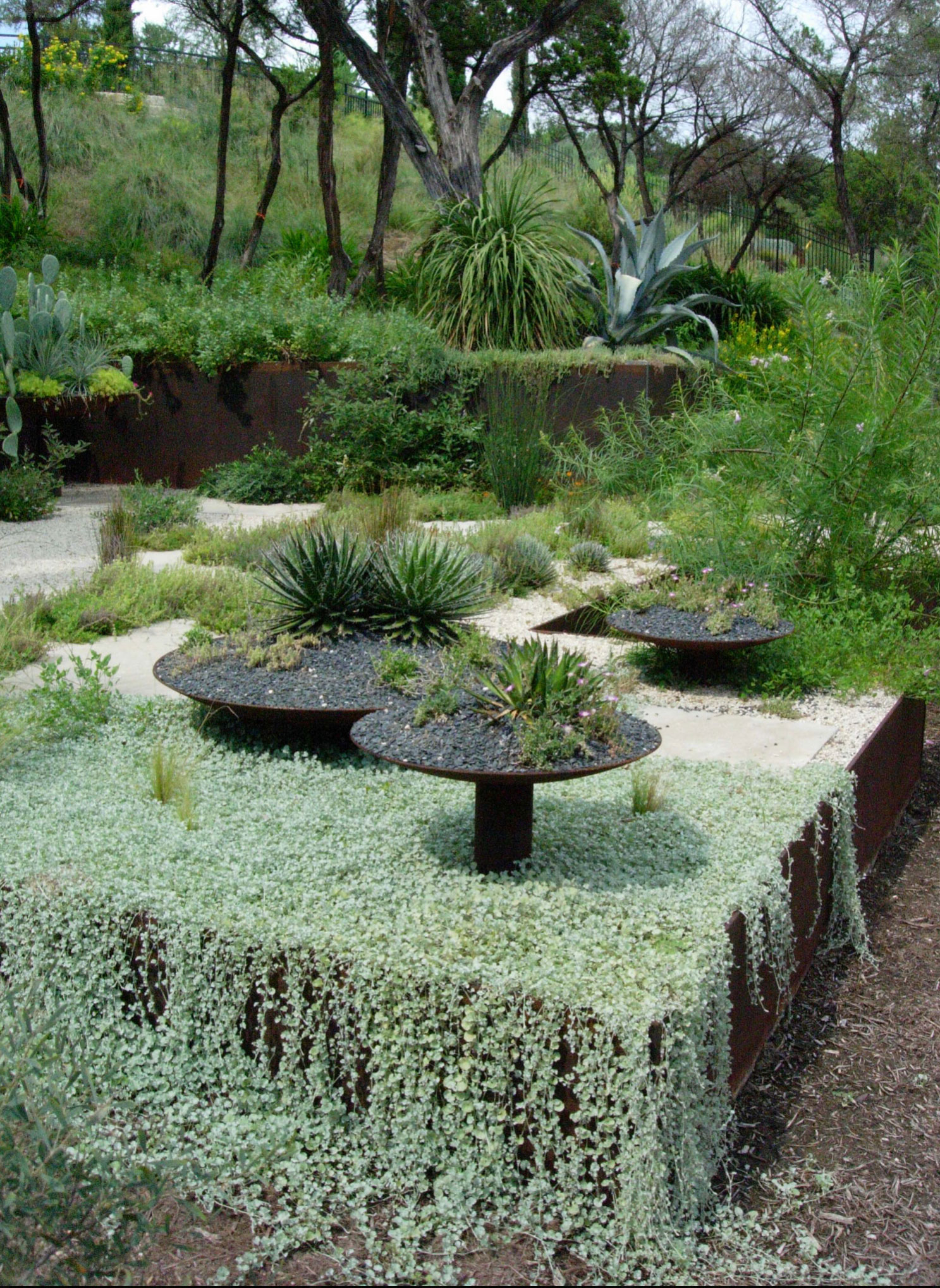 Chaos Gardening Landscape by Big Red Sun