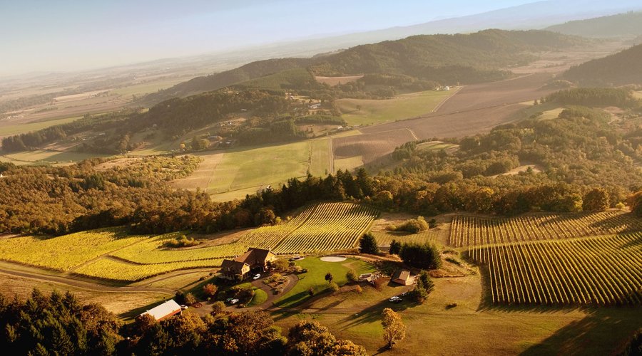 raise-a-glass-in-oregons-wine-country