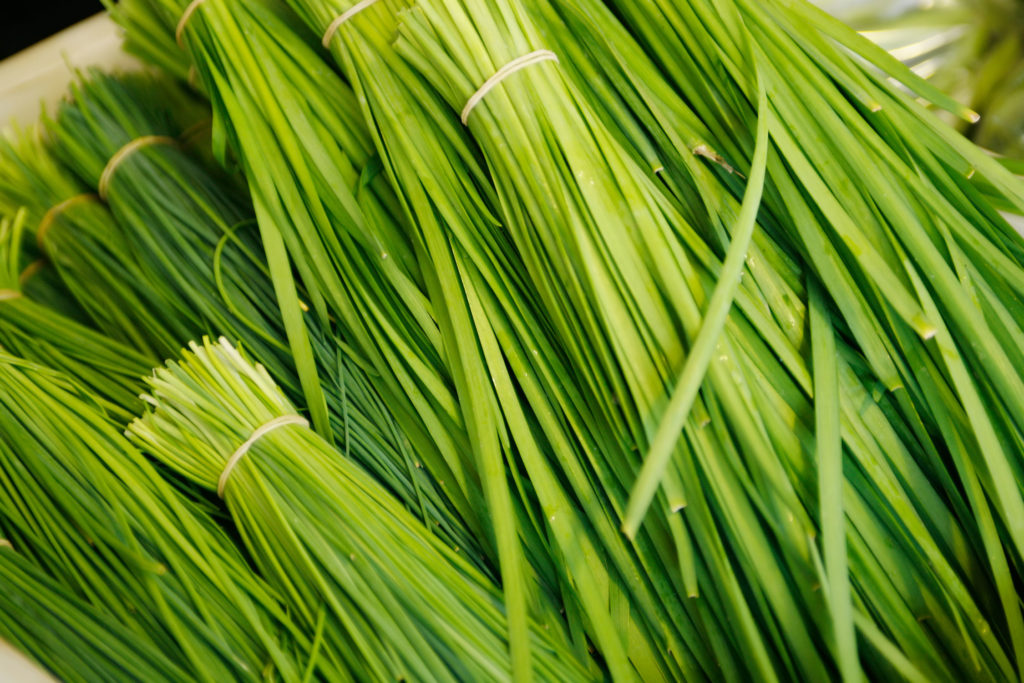 Chinese Chives