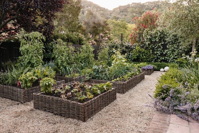 Christian Douglas Design Raised Beds