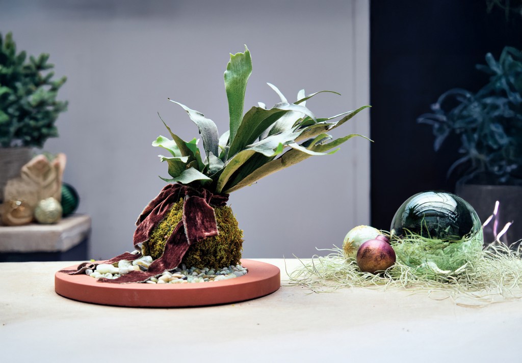 This Trending Japanese Plant Is the Most Dramatic Holiday Centerpiece We’ve Seen