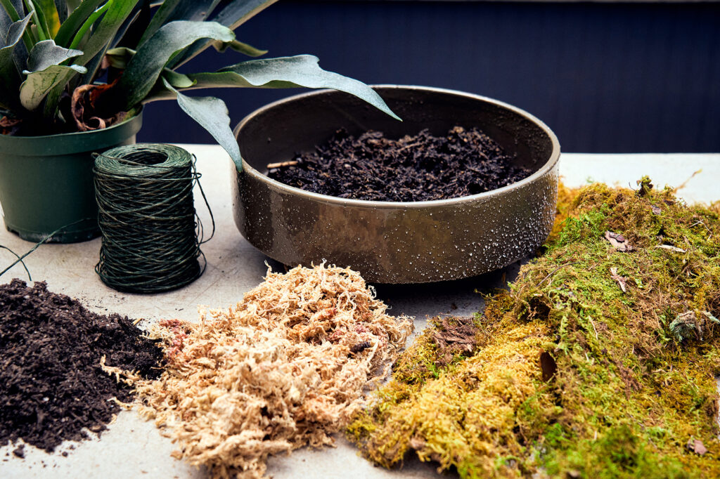 Christmas Kokedama Materials