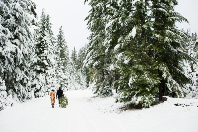 Couple walking with pine tree in national forest while cutting down Christmas tree