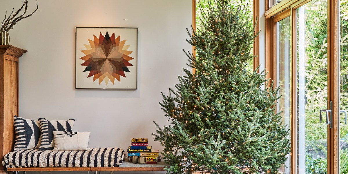 Christmas Tree in Sebastapol Home