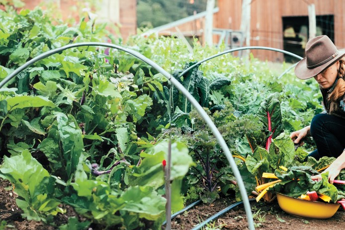 Clare Carver in Garden