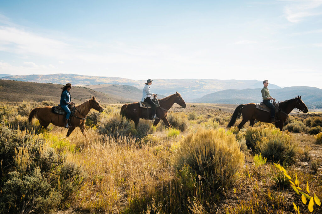 Collective Vail Horseback Riding