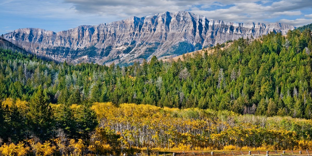Colorado Rockies Ranch Landscape