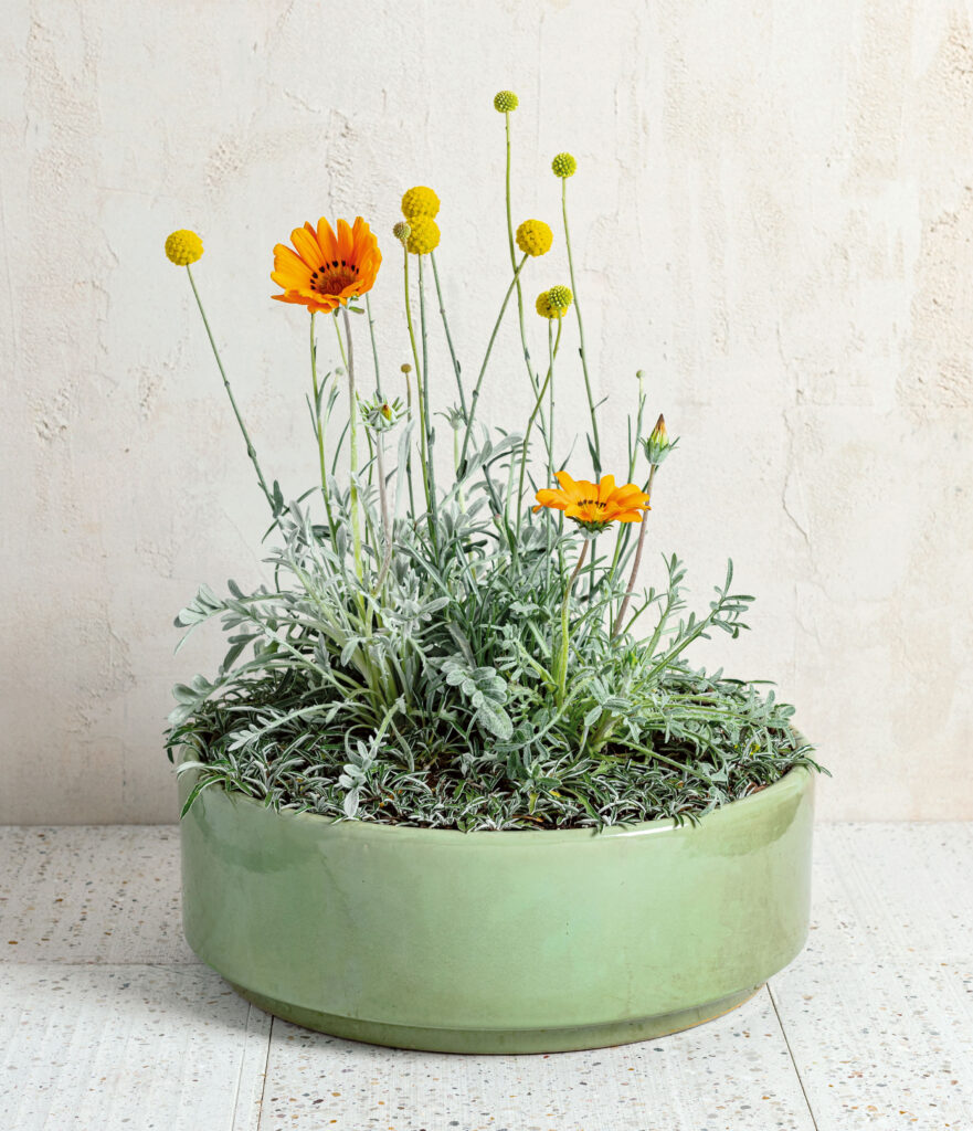 Ceramic Container Pot